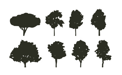 set silhouette tree isolated on white background with clipping path	