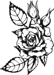 Anne Harkness rose png.Beautiful flower on transparent background.