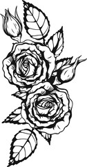 Anne Harkness rose png.Beautiful flower on transparent background.