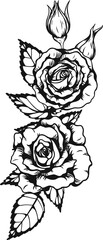Anne Harkness rose png.Beautiful flower on transparent background.