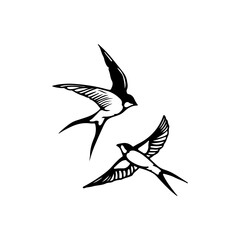vector illustration of two swallows
