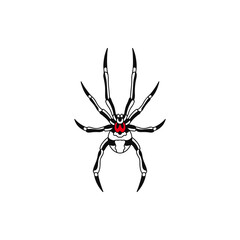 vector illustration of a spider