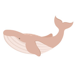 whale