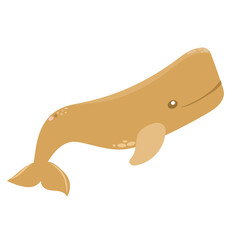 whale