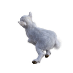 Obraz premium Goat baby character on transparent background. 3d rendering illustration for collage, clipart, composting, pose