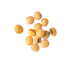 Close up Soybean isolated on transparent png