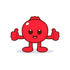 Cute Pomegranate Character Giving Thumbs Up