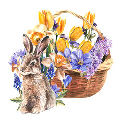 The fluffy rabbit sits in beautiful flowers on a white background. Watercolor illustration. Isolate.