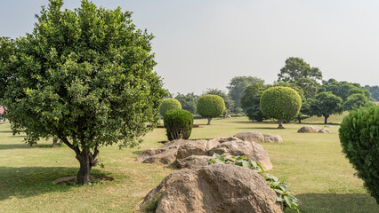 Fototapeta premium Landscape design of the city park. Bushes and spherical trimmed trees grow on the green lawn. Picturesque boulders, entwined with climbing plants, in the foreground. Blue sky. India. Delhi