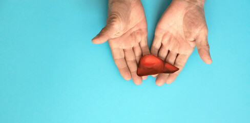 male hands hold the liver organ cut out of paper on a blue background. the concept of hepatitis...