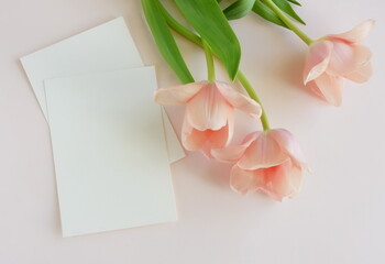 Greeting card mockup and pink  tulip  flowers on beige background top view flatlay. Blank mock up with copy space.