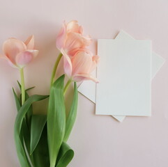 Greeting card mockup and pink tulip flowers on beige background top view flatlay. Blank mock up with copy space.