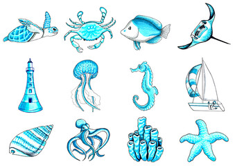 Marine set aqua color with underwater life. PNG illustration marine animals.