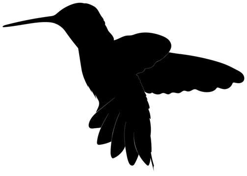 recommend clip art: flying hummingbird silhouette
