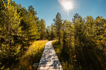 Mountain landscape in Slovakia mountains, Juranova dolina - valley in The Western Tatras national park, oravice, Orava region. Educational trail through the bog © Zedspider