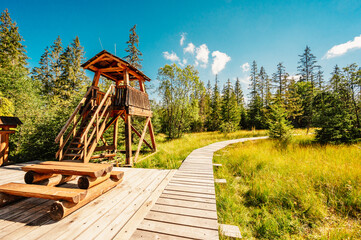 Mountain landscape in Slovakia mountains, Juranova dolina - valley in The Western Tatras national park, oravice, Orava region. Educational trail through the bog © Zedspider