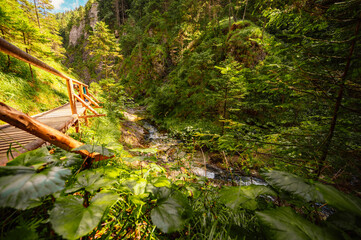 Mountain landscape in mountains, Juranova dolina - valley in The Western Tatras national park. Slovakia, oravice, Orava region. © Zedspider