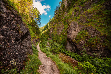Mountain landscape in mountains, Juranova dolina - valley in The Western Tatras national park. Slovakia, oravice, Orava region. © Zedspider