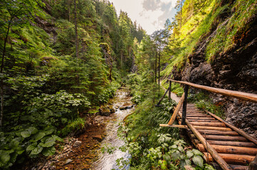 Mountain landscape in mountains, Juranova dolina - valley in The Western Tatras national park. Slovakia, oravice, Orava region. © Zedspider