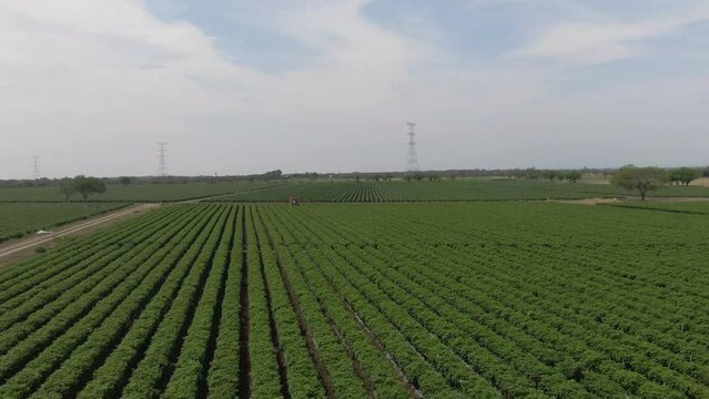 Regando el campo con un tractor