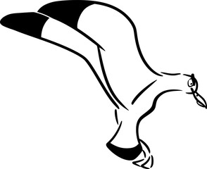 Vector drawing of a seagull with funny, silly face. Outline, silhouette. Hand-drawn in cartoon style, flat, doodle, isolated, black and white. Swooping, wings waving.