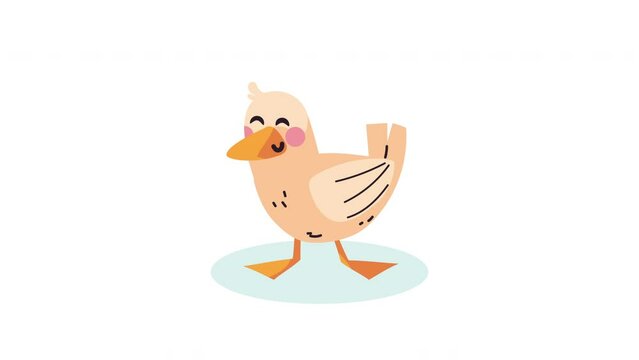 cute duck animal farm animation