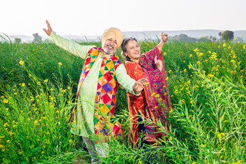 Cheerful Senior Punjabi sikh couple doing bhangra dance in agriculture field celebrating Baisakhi...