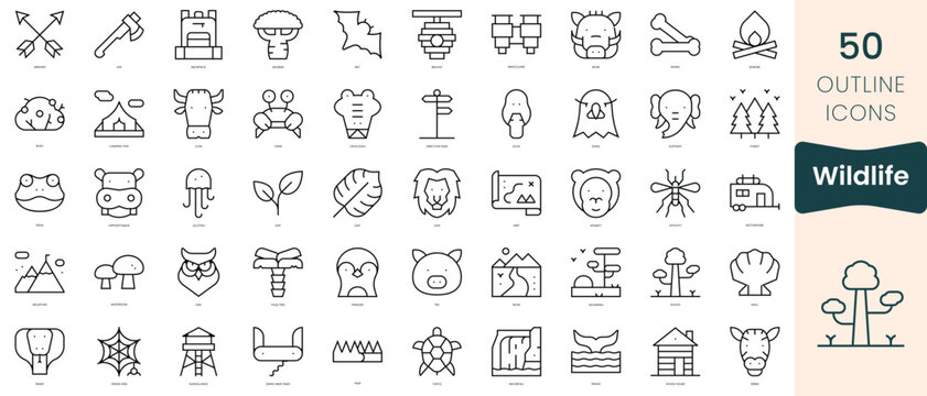 Set of wildlife icons. Thin linear style icons Pack. Vector Illustration