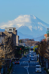 道路の先にある雪化粧した富士山