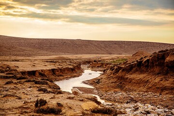 Fototapeta premium الاردن- قصر ضبعة Dabaa castle- Jordan