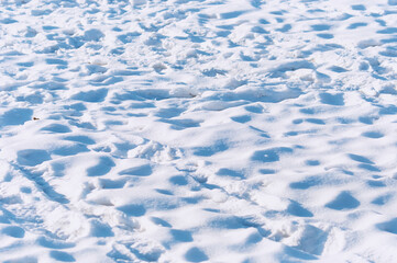 Wavy texture of snow in the rays of the setting sun. Winter landscape. Highlights and shadows. No people