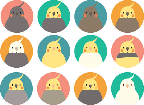 オカメインコ Images – Browse 705 Stock Photos, Vectors, and Video