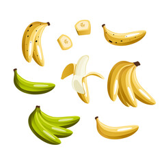 Yellow and green bananas colorful flat vector illustrations set. Exotic, tropical fruit isolated on white background. Peeled and sliced and whole banana. Fresh vegetarian healthy food with vitamins.