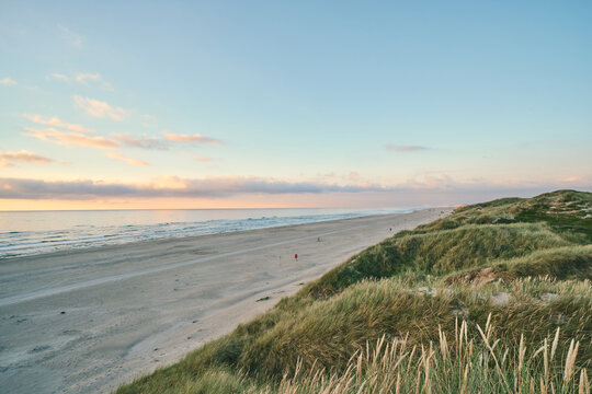 Wide beach and dunes in northern Denmark. High quality photo
