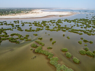Luftaufnahme von Flachwasserbereichen eines Flusses mit Mangrovenbeständen und Sandbänken im...