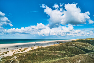 vast Dune landscape at danish north sea coastline. High quality photo