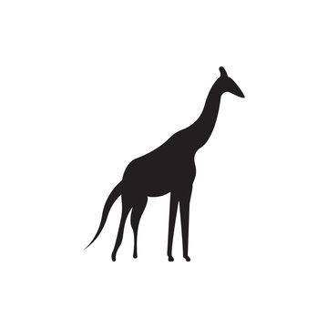 giraffe logo icon black illustration.