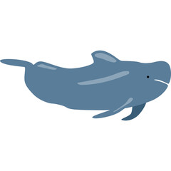Whale Illustration-08
