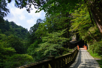 新緑に囲まれた夏の榛名神社の参道