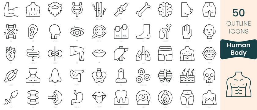 Set of human body icons. Thin linear style icons Pack. Vector Illustration