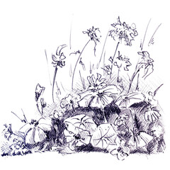 Lots of wildflowers in the flower bed. Hand drawn sketch with ballpoint pen on paper texture. Isolated on white. Raster image