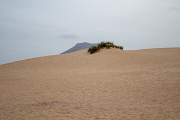 Fototapeta na wymiar Düne auf Fuerteventura