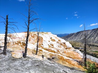 hot springs in yellowstone