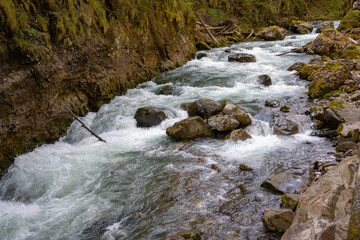Gebirgsfluss in den Alpen von Wald umgeben 