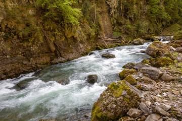 Klamm Gebirgsfluss Alpen mit Steinen und Felsen