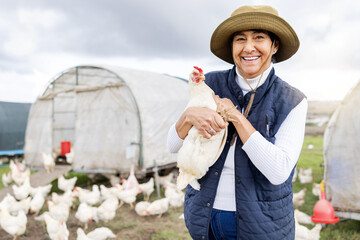 Chicken farming, woman and agriculture garden on field, environment or countryside. Portrait of...
