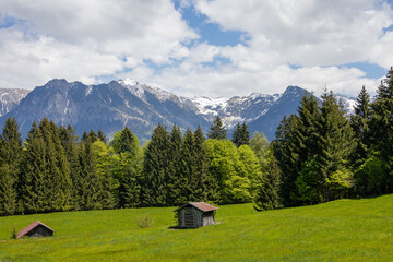 Fototapeta na wymiar Wunderschönes Alpenpanorama mit Blumen und einer Hütte