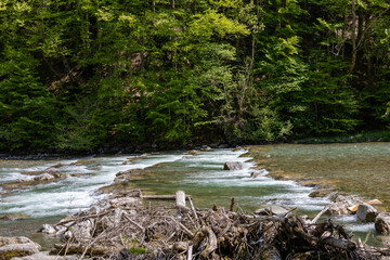 Wundervoller Gebirgsfluss in den Alpen von Wald umgeben 
