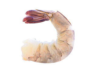 Fresh shrimp isolated on transparent png