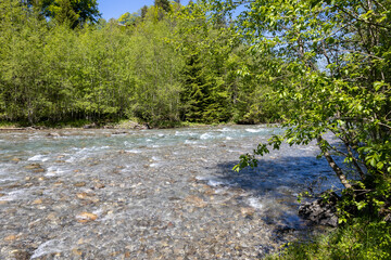 Wundervoller Gebirgsfluss in den Alpen von Wald umgeben 